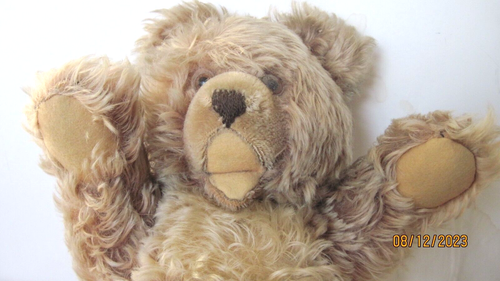 50'S VINTAGE ZOTTY TEDDY BEAR MOHAIR JOINTED 15'" NO BUTTOR LABEL - Picture 2 of 9