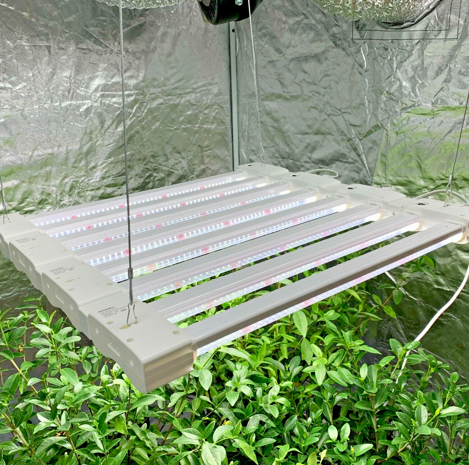 Full Spectrum 4-in-1 Linkable Seedling Veg Hydroponic Grow L