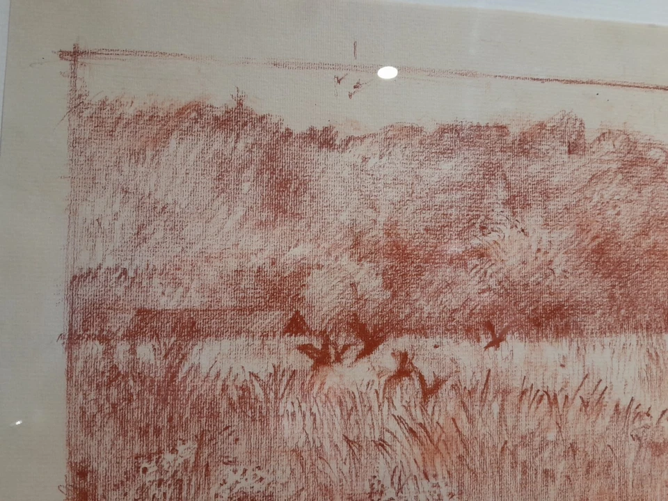 Dibujo a lápiz original Harold Cohen Foto 3 de 4