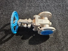 FNW FNW451AK Stainless Steel Flanged Gate Valve 2" CF8M