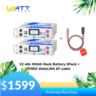 2Pack 48V 100Ah 10.24KWh LiFePO4 Battery Server Rack + Free M8 XT150 Cable