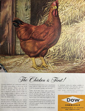 Dow Chemical Co Midland Mich Chicken First Industry Food Vintage Print Ad 1951