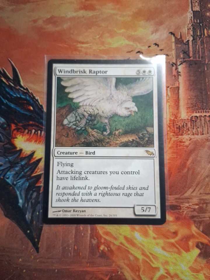 Windbrisk Raptor 26 Rare Shadowmoor Magic: The Gathering Near Mint