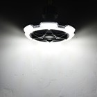 Bild 118 von 247