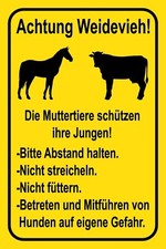 Blechschild 30x40 Weidevieh Muttertiere streicheln Abstand halten Hunde Gefahr