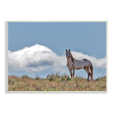 Wild Horse Standing Strong Along Daytime Cloudy Sky, Designed by Larry McFerr...