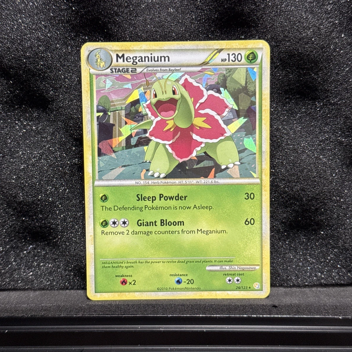 Meganium Pokémon TCG Cards for sale