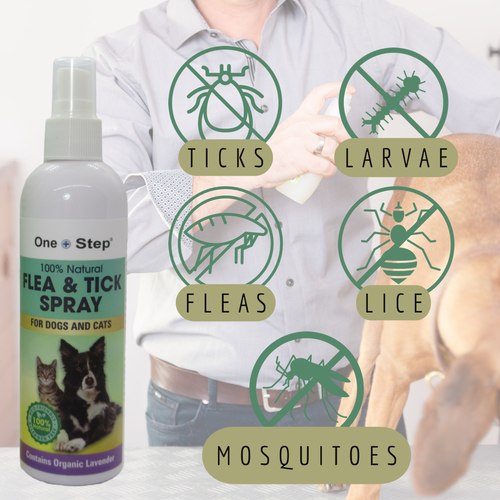 Flea & Tick 250ml Shampoo + 250ml Spray Dogs & Cats 100% Natural Allergen Free - Picture 3 of 9