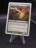 MTG Seedborn Muse - 9th Edition- Legendsonmain