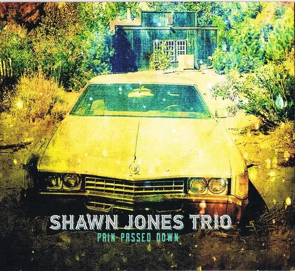 Pain Passed Down, Shawn Jones Trio - Photo 1/1