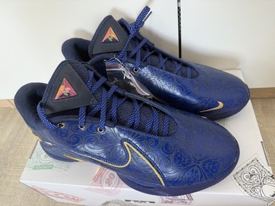 Nike LeBron XXII (22) NRG ''Monopoly''   Royal Blue/Gold   NEU & OVP Gr. 45 /US 11