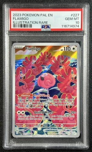 FLAMIGO PSA 10 2023 POKEMON PALDEA EVOLVED #227/193 PAL EN ILLUSTRATION RARE 974