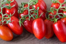 120+ Roma Tomato Seeds - Heirloom - Organic - NON GMO ---- FRESH