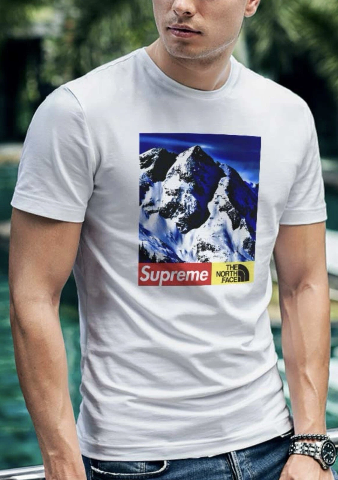 T shirt Supreme X The North Face Mountain SS18 MEDIUM