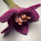 Bild 2 von 4
