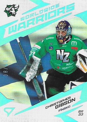 Christopher Gibson, 24-25 Slovak insert silver /40, Schwenninger Wild Wings