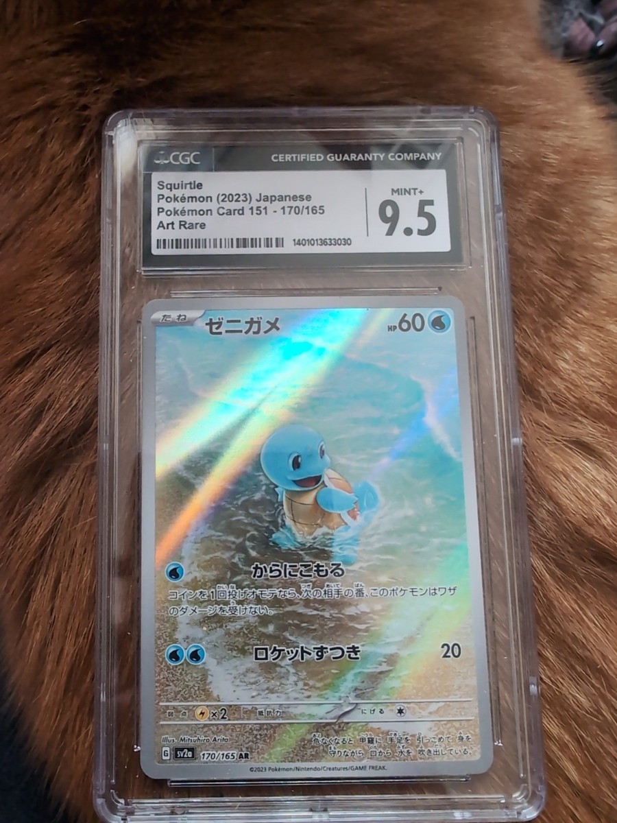 Squirtle 170/165 Sv2a: Pokemon Card 151 Holo (Japanese) for