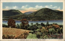 Maine Elephant Mountain and Wilson Pond 1936 American Art Post Card Co. Postcard