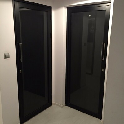 Black aluminum interior or exterior doors with black glass Aluron ACS50 ...