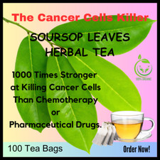 Organic Soursop Leaves Herbal Tea Bags Guanabana Graviola Powder Annona Muricata