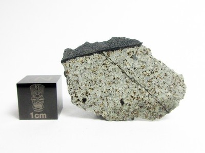 Tana River (Prov) 4.91g Crusted Endcut from December 24, 2025 Fall