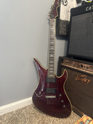 schecter avenger hellraiser, with case 