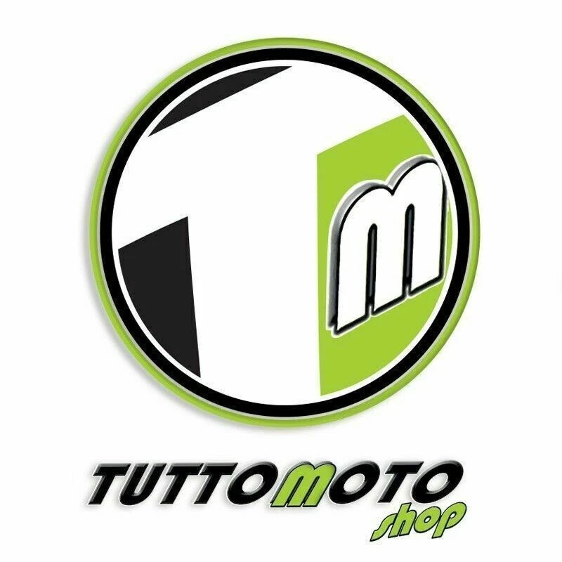 Kit Disco e Pastiglie Anteriore KAWASAKI J 300 ABS 2014-2020 / J300 Set Freno - Immagine 2 di 4