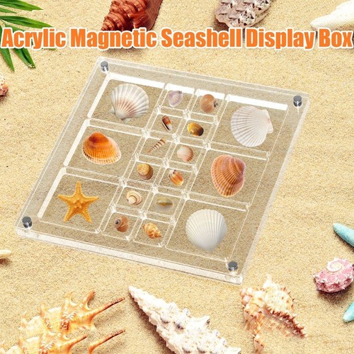 Mini Magnetic Seashell Display Box Plastic Seashell Collection Case ...