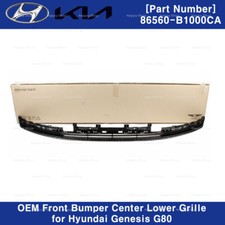 Active Air Shutter Flap Duct Deflector Left DRIVER ⭐OEM⭐ Kia EV9 Light