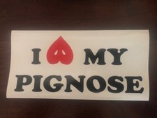 PIGNOSE Amplifiers STICKER I LOVE MY PIGNOSE NEW 3.5X7