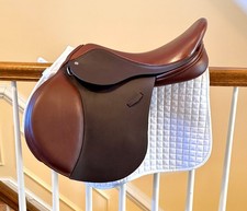 2025 Loxley Jump Saddle by Bliss. Wide (Inter...