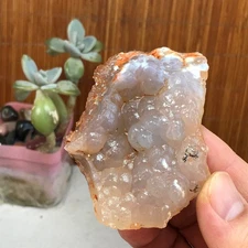 Natural Bonsai Suiseki Gobi Agate Eyes Stone-Stunning original View 84g A2872