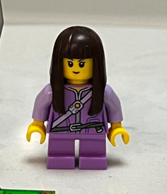 LEGO Nexo Knights 70324 Minifigure Lot Aaron Ash Attila Book Monster