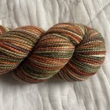 Koigu KPPPM Yarn 100 Merino Wool 175 yds Color Variegated 316