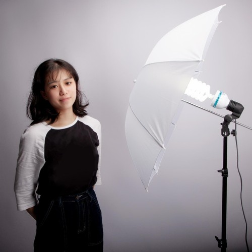 Studio Umbrella 33" Translucent Reflective Flash Photo White Light Photography - Picture 2 of 8