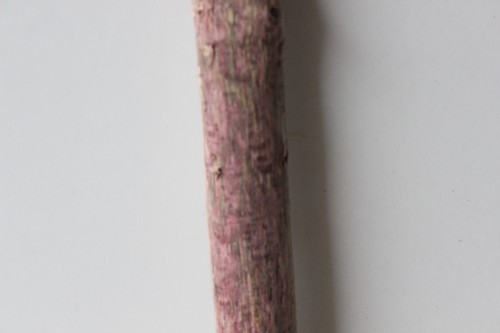 Treibholz Schwemmholz Driftwood 1 XL Ast Garderobe Dekoration - Bild 5 von 12