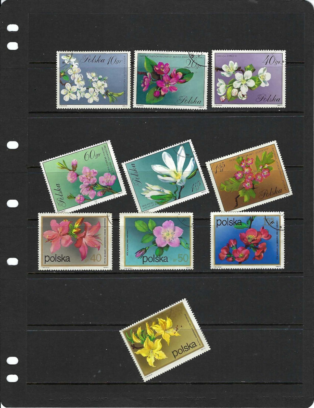Foto 2 di 2