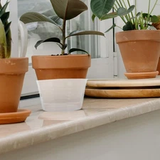  30 Pcs Plastic Plant Saucer Drip Trays Flowerpot Saucers for Potted Plants