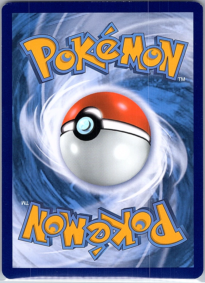 Cyndaquil SWSH221 SWSH: Sword & Shield Promo Cards Holo - Image 2 of 2