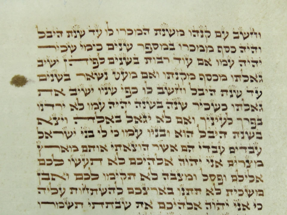 TORAH SCROLL BIBLE MANUSCRIPT FRAGMENT SMALL PARCHMENT 150 YRS POLAND Leviticus - Image 4 of 4