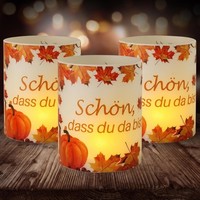 Windlicht Tischdeko Herbst Erntedank Thanksgiving Deko 12 StüCk