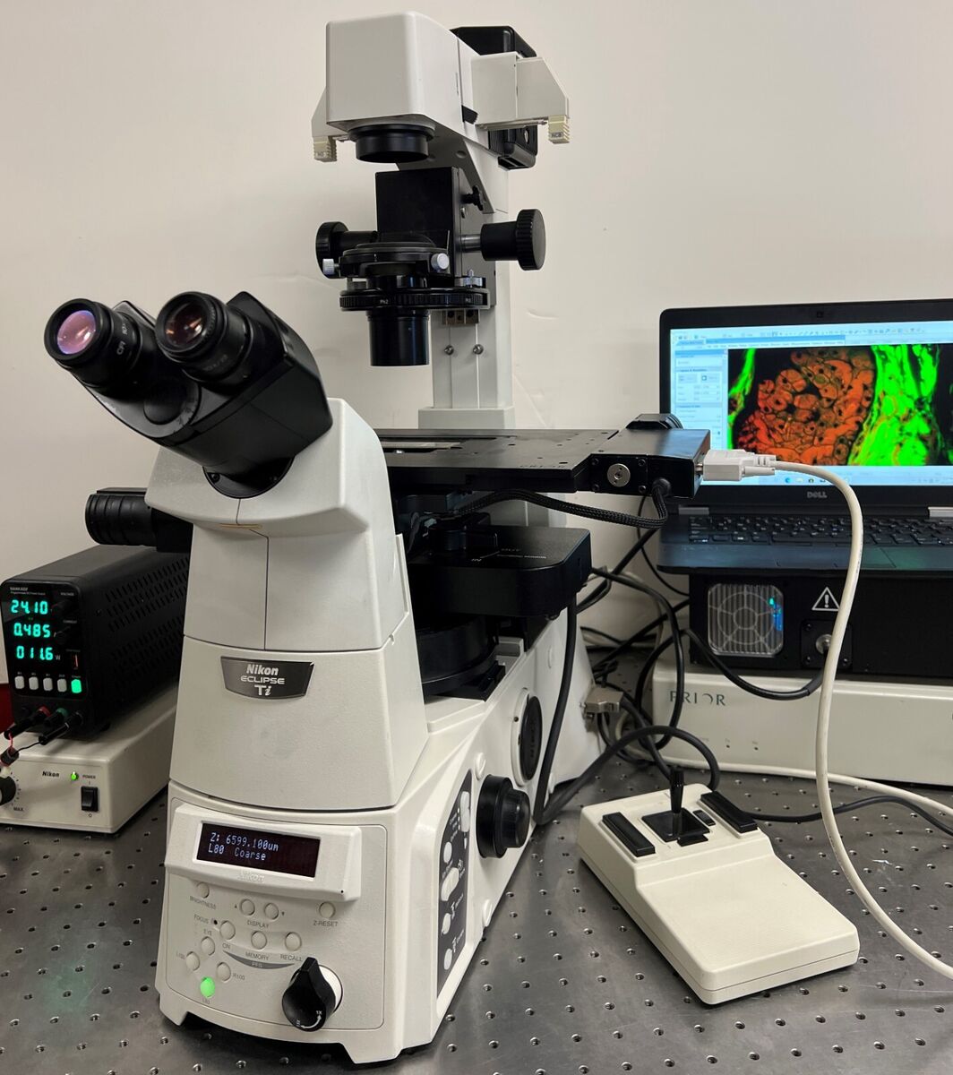 Nikon Ti-E Fluorescence Phase Inverted Microscope PFS Nikon Ti-E Fluorescence Phase Inverted Microscope PFS