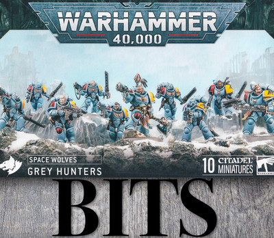 Warhammer 40K Heresy Space Marine Space Wolves GREY HUNTERS Veteran Bit Bits