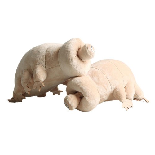 Tardigrade Plush Stuffed Animals Doll Toys Weird Water Bear Plush Doll Gifts - Picture 6 of 10