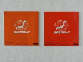 GIANT GRAM All Japan Prowrestling 2 DC Sega Dreamcast Spine From Japan