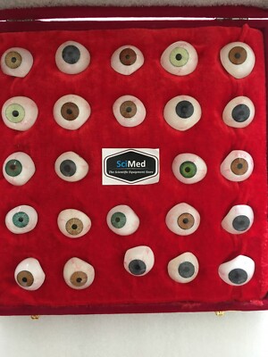 Prosthetic Eye For Human 25 Eyes In Soft Case Ocular Prosthesis 3 DAY DELIVERY