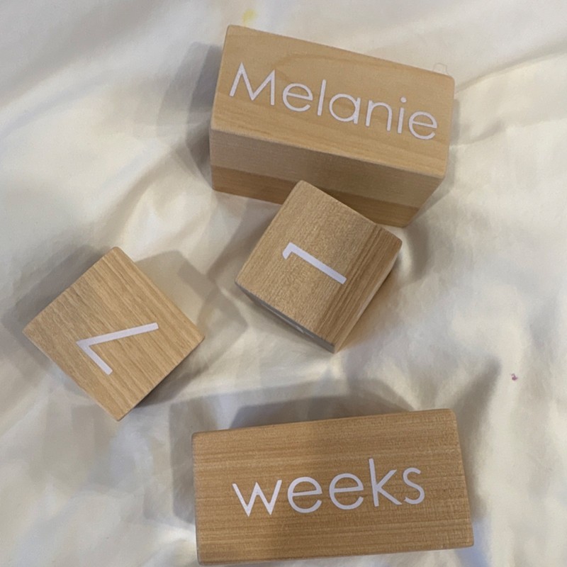 Modern Blocks Personalized Wooden Milestone Blocks Set - Melanie