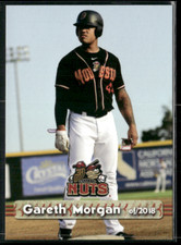 Gareth Morgan 2018 Modesto Nuts Team Set 