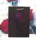 Night De Paris Intenso 3.3 OZ. EDP Spray By L'Orientale Fragrances