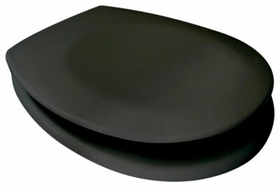 Klodeckel Duroplast WC-Sitz Badezimmer Toilettendeckel schwarz WC-Deckel B-Ware
